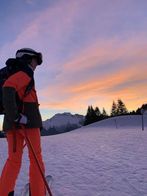 Androsace Appartement Dans Chalet Bois Avec Jacuzzi Privatif Terrasse Et Vue Montagne Les Villards-sur-Thônes Eksteriør bilde